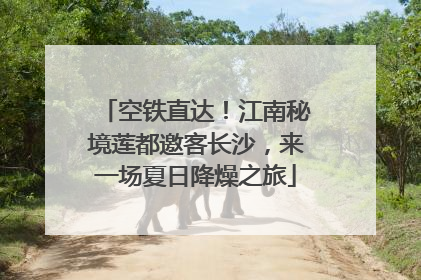空铁直达！江南秘境莲都邀客长沙，来一场夏日降燥之旅