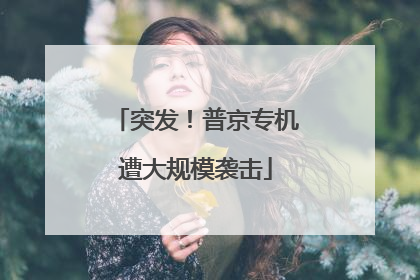 突发！普京专机遭大规模袭击
