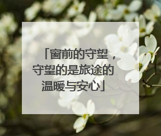 窗前的守望，守望的是旅途的温暖与安心