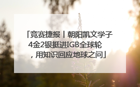 竞赛捷报丨朝阳凯文学子4金2银挺进IGB全球轮，用知识回应地球之问