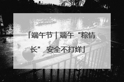 端午节｜端午“粽情长” 安全不打烊
