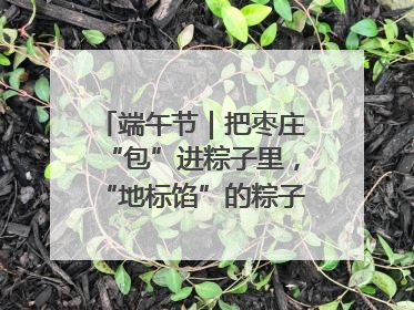 端午节｜把枣庄“包”进粽子里，“地标馅”的粽子诞生了！