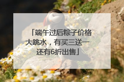 端午过后粽子价格大跳水，有买三送一还有6折出售