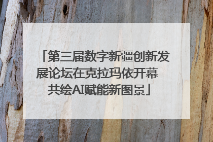 第三届数字新疆创新发展论坛在克拉玛依开幕 共绘AI赋能新图景