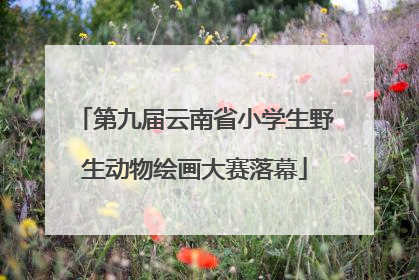 第九届云南省小学生野生动物绘画大赛落幕