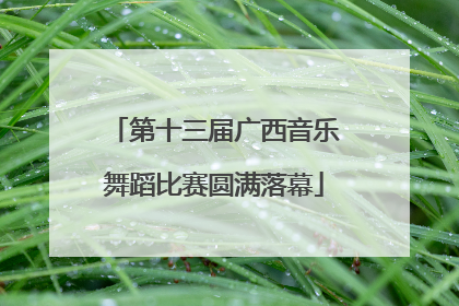 第十三届广西音乐舞蹈比赛圆满落幕