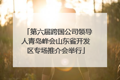 第六届跨国公司领导人青岛峰会山东省开发区专场推介会举行
