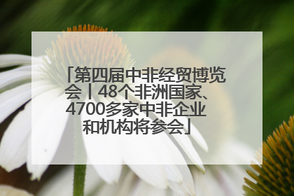 第四届中非经贸博览会丨48个非洲国家、4700多家中非企业和机构将参会