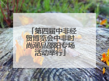 第四届中非经贸博览会中非时尚潮品邵阳专场活动举行