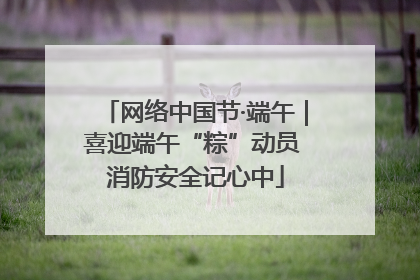 网络中国节·端午｜喜迎端午“粽”动员 消防安全记心中