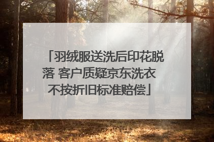 羽绒服送洗后印花脱落 客户质疑京东洗衣不按折旧标准赔偿