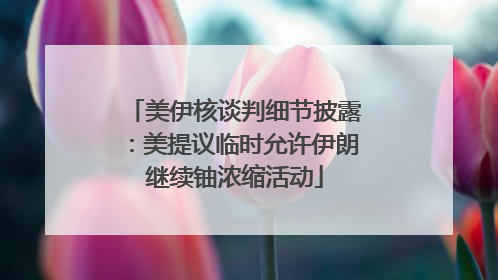 美伊核谈判细节披露：美提议临时允许伊朗继续铀浓缩活动