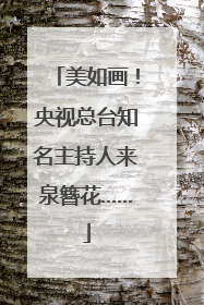 美如画！央视总台知名主持人来泉簪花……