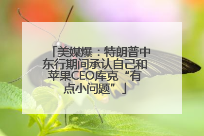 美媒爆：特朗普中东行期间承认自己和苹果CEO库克“有点小问题”