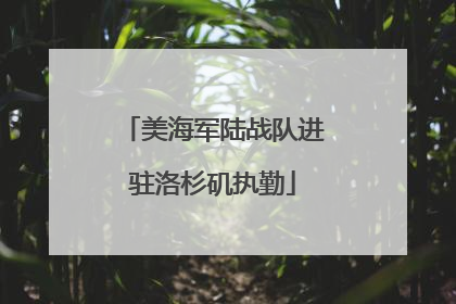 美海军陆战队进驻洛杉矶执勤
