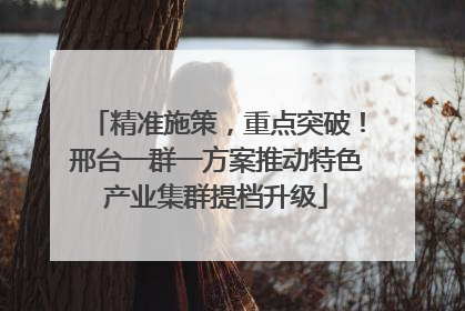 精准施策，重点突破！邢台一群一方案推动特色产业集群提档升级