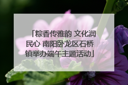 粽香传雅韵 文化润民心 南阳卧龙区石桥镇举办端午主题活动