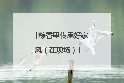 粽香里传承好家风（在现场）