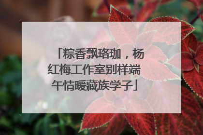 粽香飘珞珈，杨红梅工作室别样端午情暖藏族学子