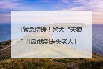 紧急增援！警犬“天狼”出动找到走失老人