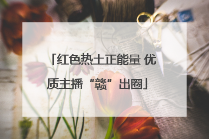 红色热土正能量 优质主播“赣”出圈