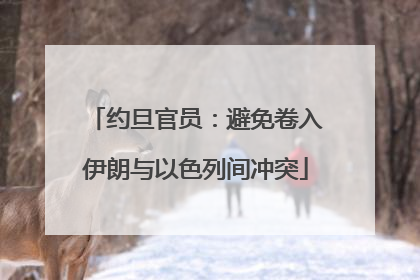 约旦官员：避免卷入伊朗与以色列间冲突