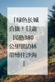 绿色长城合拢！甘肃民勤380公里锁边林带缚住沙海