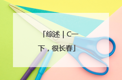 综述｜C一下，很长春