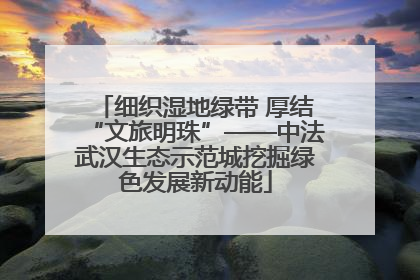 细织湿地绿带 厚结“文旅明珠”——中法武汉生态示范城挖掘绿色发展新动能