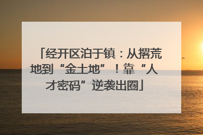 经开区泊于镇：从撂荒地到“金土地”！靠“人才密码”逆袭出圈