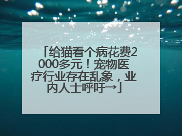 给猫看个病花费2000多元！宠物医疗行业存在乱象，业内人士呼吁→