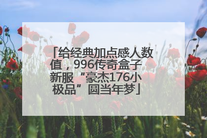 给经典加点感人数值，996传奇盒子新服“豪杰176小极品”圆当年梦