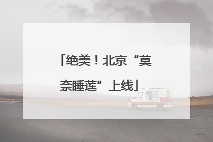 绝美！北京“莫奈睡莲”上线