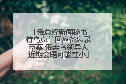 俄总统新闻秘书：待乌克兰回应备忘录草案 俄美乌领导人近期会晤可能性小