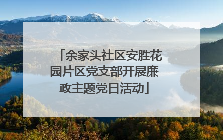 余家头社区安胜花园片区党支部开展廉政主题党日活动
