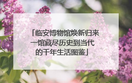 临安博物馆焕新归来 一馆藏尽历史到当代的千年生活图鉴