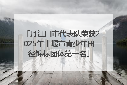 丹江口市代表队荣获2025年十堰市青少年田径锦标团体第一名
