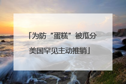为防“蛋糕”被瓜分 美国罕见主动推销