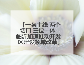 一条主线 两个切口 三位一体 临沂加速推动开发区建设领域改革