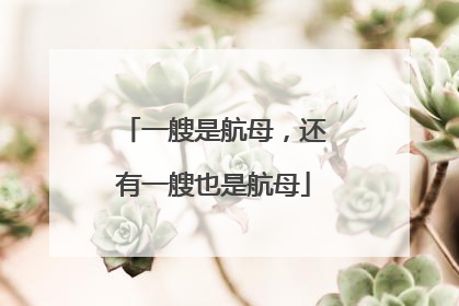 一艘是航母，还有一艘也是航母