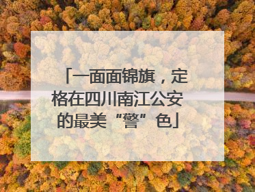 一面面锦旗，定格在四川南江公安的最美“警”色