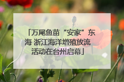 万尾鱼苗“安家”东海 浙江海洋增殖放流活动在台州启幕