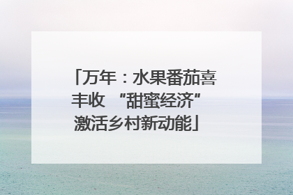 万年：水果番茄喜丰收 “甜蜜经济”激活乡村新动能