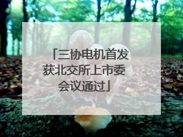 三协电机首发获北交所上市委会议通过