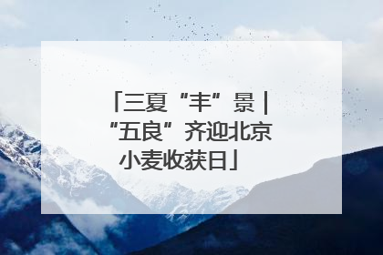 三夏“丰”景｜“五良”齐迎北京小麦收获日
