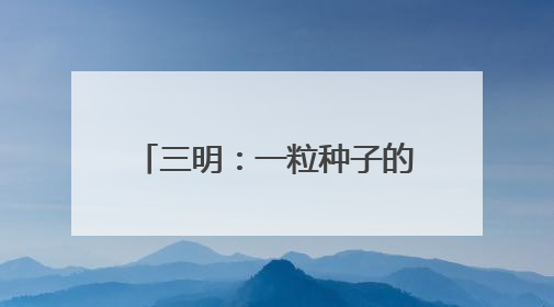 三明：一粒种子的“链式”崛起之路