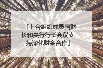 上合组织成员国财长和央行行长会议支持深化财金合作
