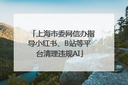 上海市委网信办指导小红书、B站等平台清理违规AI