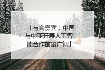 与会嘉宾：中国与中亚开展人工智能合作前景广阔