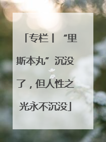 专栏丨“里斯本丸”沉没了，但人性之光永不沉没